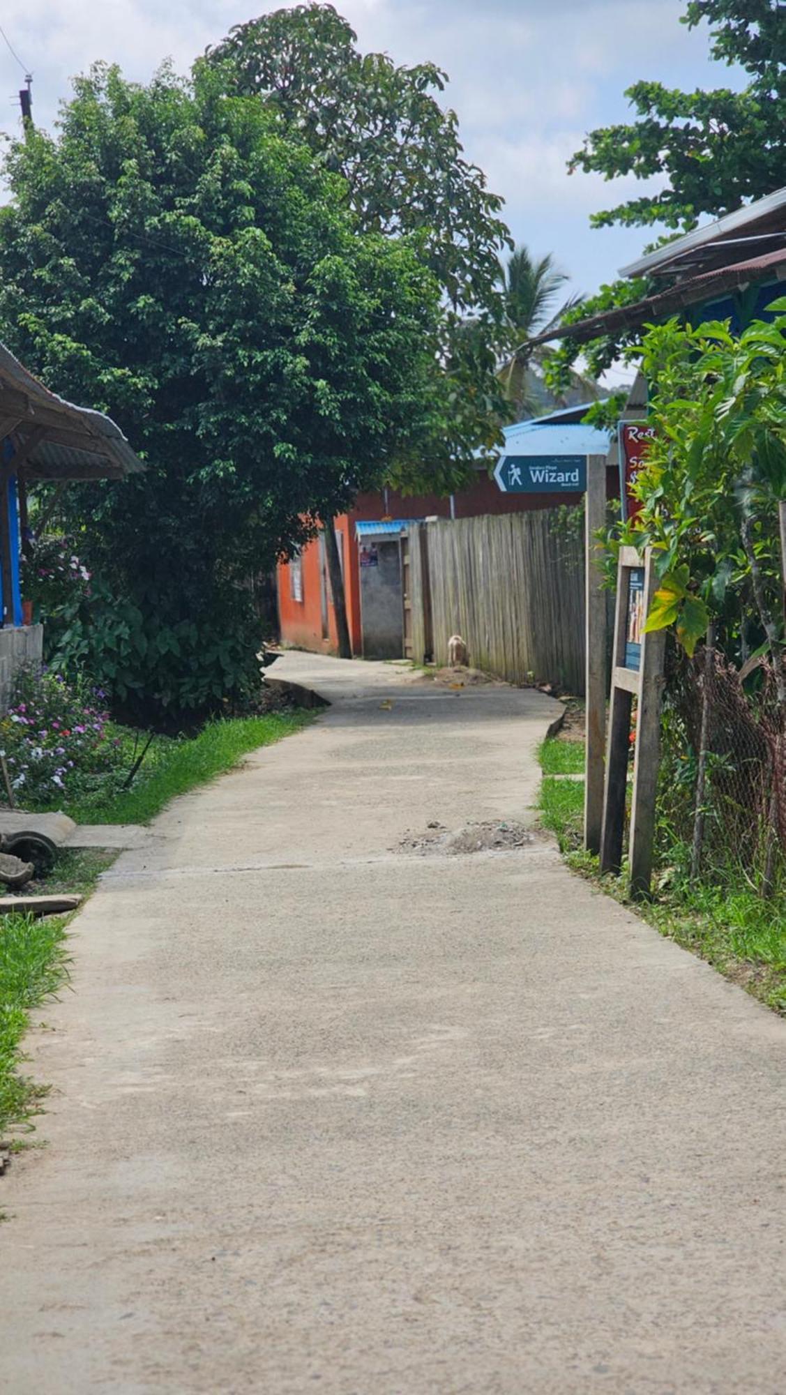 Bastimentos Hill Guest House Bocas Town Luaran gambar